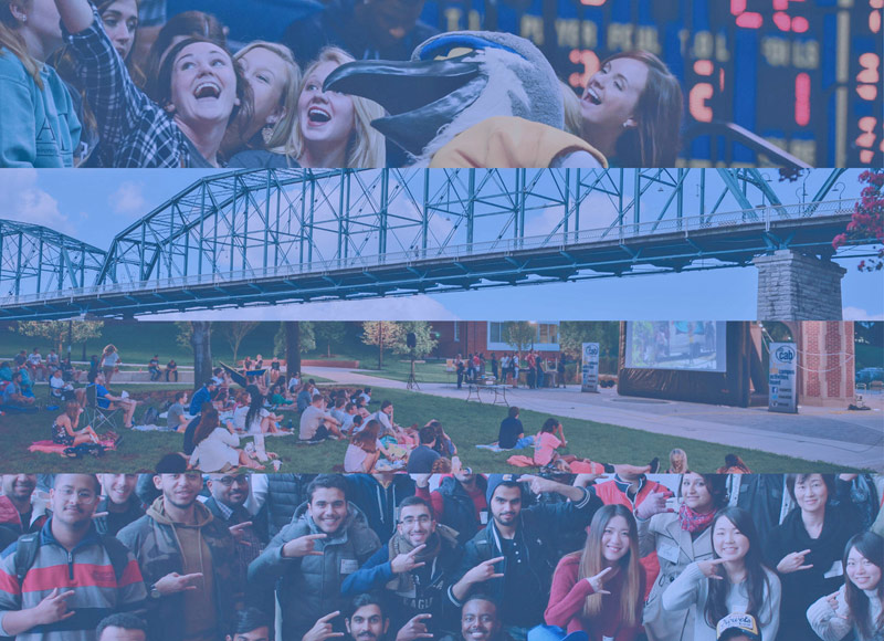 blog Image English as a Second Language Institute at the University of Tennessee at Chattanooga