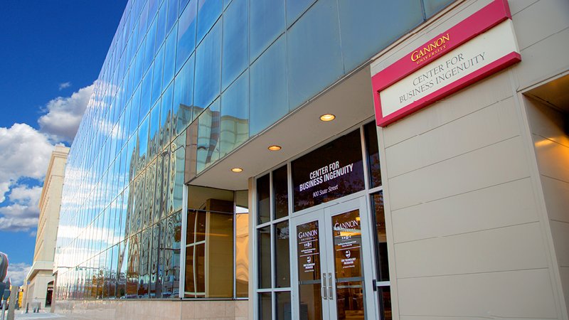 blog Image Gannon Master of Business Administration in Business Analytics is now a STEM Designated Degree Program