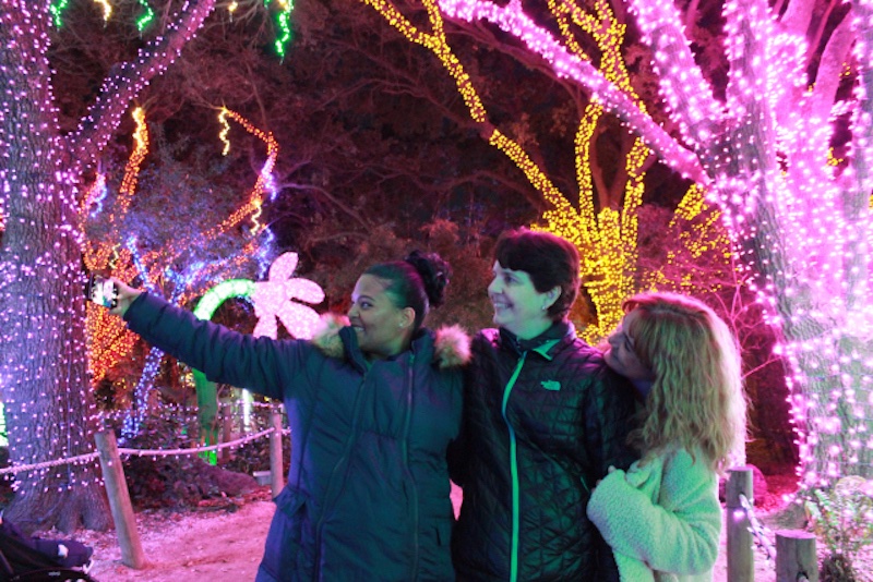 blog Image Chilly and Sparkly at the Spectacular Houston Zoo Lights
