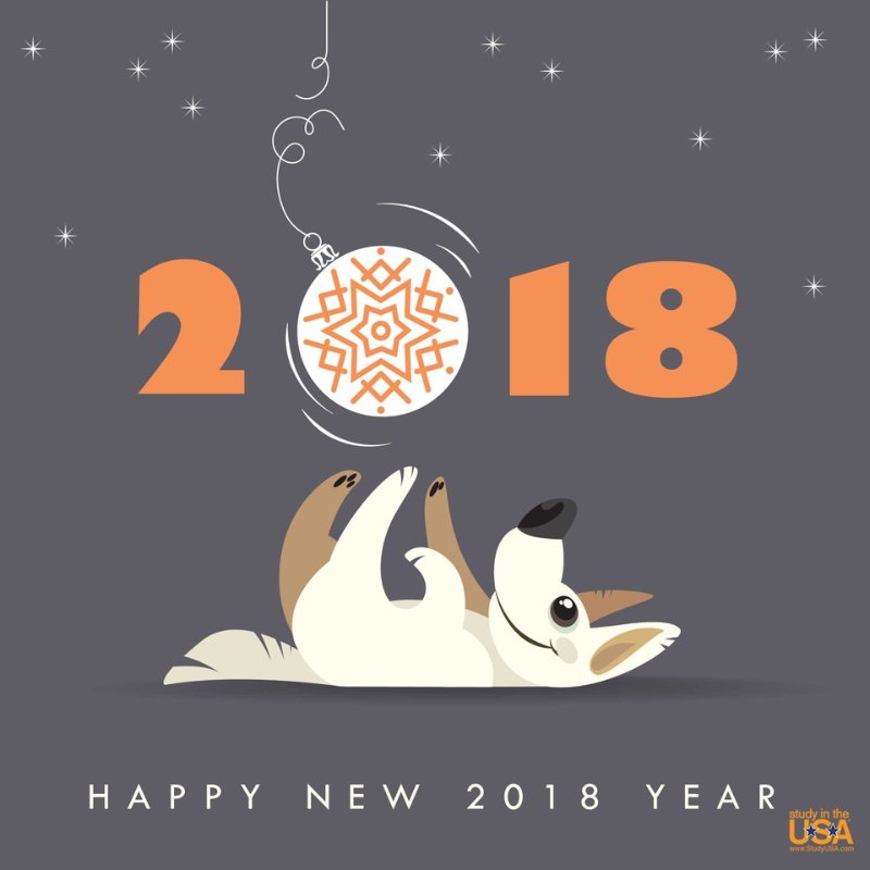 blog Image Happy New Year!!!