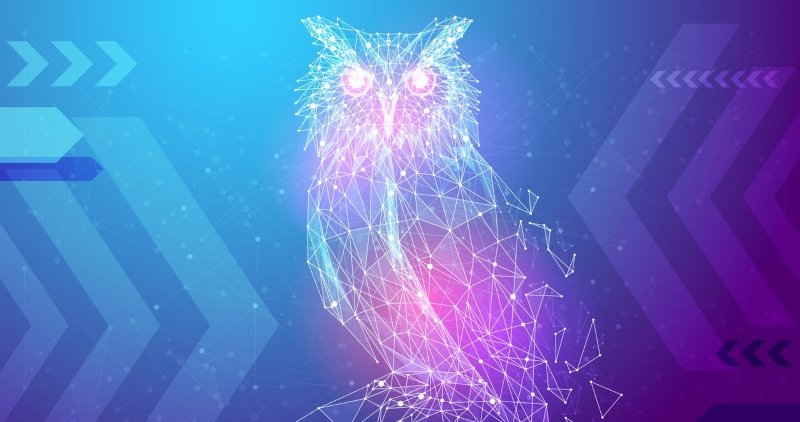 blog Image From Student Blogger, Vincent: College Life as a Temple Owl!